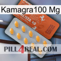 Kamagra100 Mg 43